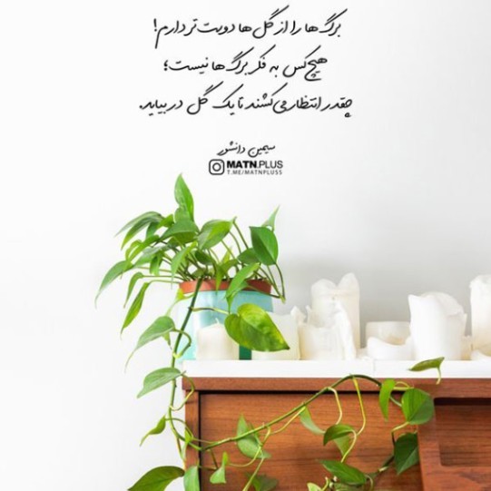 دانلود آهنگ لاشی سه احمد صفایی علی سورنا مهديار حمیدرضا بابایی ياس از فارس ترانه
